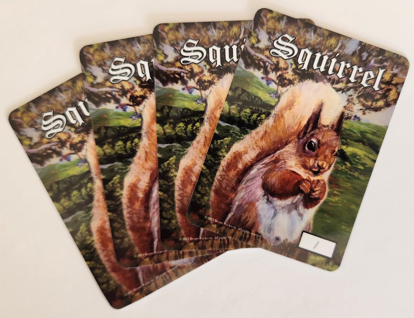 Squirrel